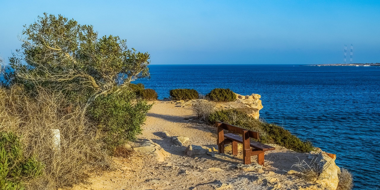 Original photo of a bench under a windswept tree on a coastal cliff