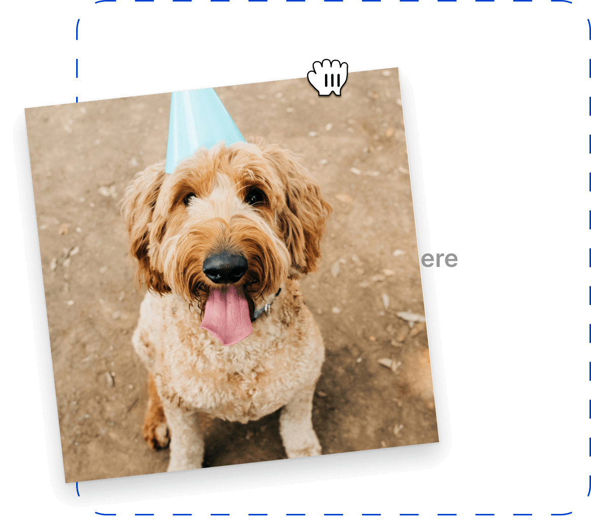 Upload your pet photo illustration